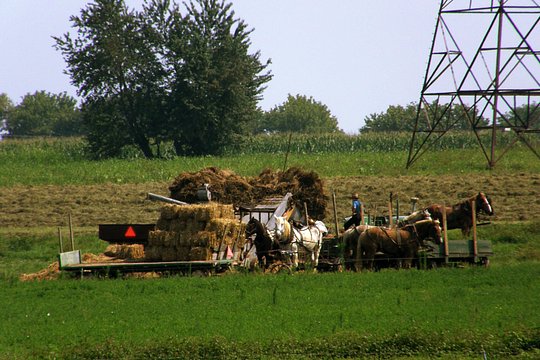 Tour image 5